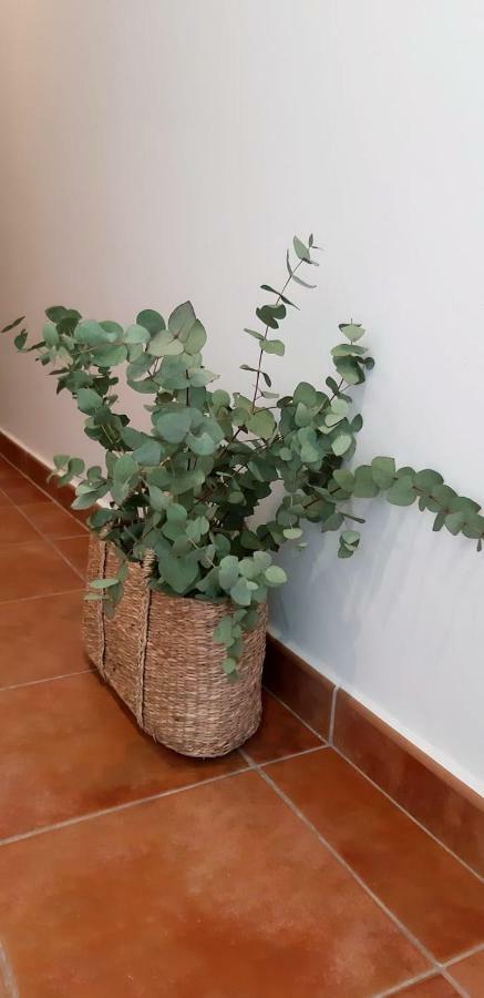 Hostal Sa Posada Set Cales ซิวตาเดญา ภายนอก รูปภาพ